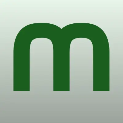 МегаФон, лого-визитка